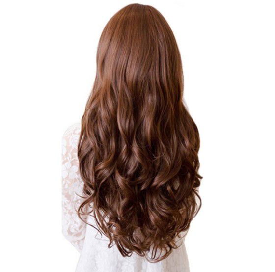 Long Curly Synthetic Clip Hair Extensions